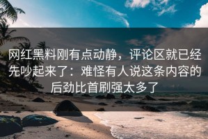 网红黑料刚有点动静，评论区就已经先吵起来了：难怪有人说这条内容的后劲比首刷强太多了