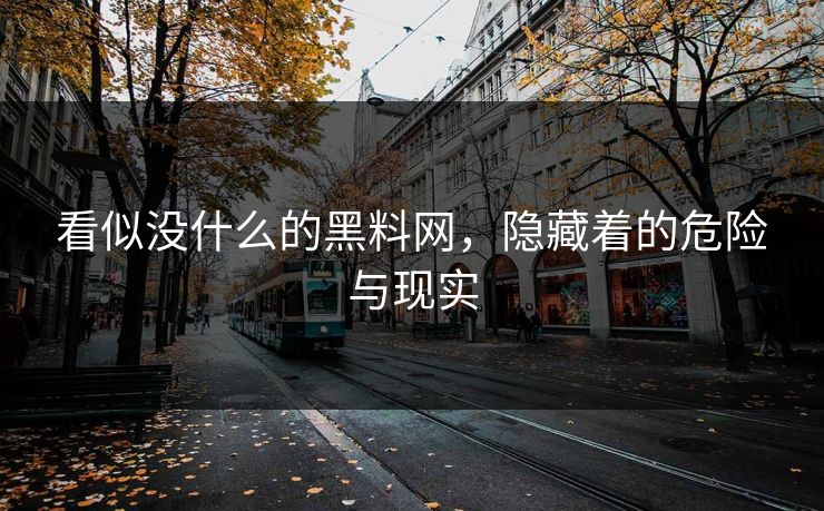 看似没什么的黑料网，隐藏着的危险与现实