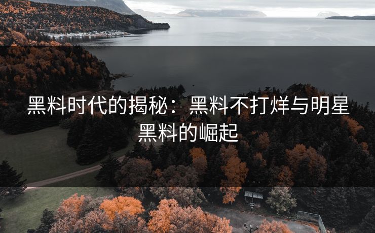 黑料时代的揭秘：黑料不打烊与明星黑料的崛起